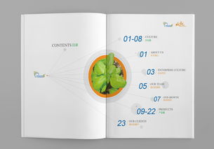 生物公司企業(yè)形象畫冊設計 展現(xiàn)科技與創(chuàng)新的力量